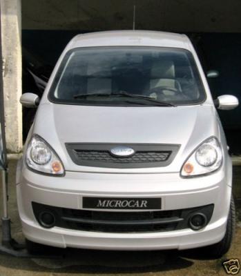 A Beautiful slachtoffers van auto-cart zonder toestemming Microcar M. GO SXI