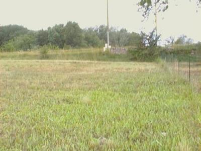 TERRAIN DE L AGRICULTURE A VENDRE 