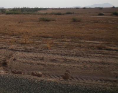 beau terrain titr� du 1 hetare a marrakech