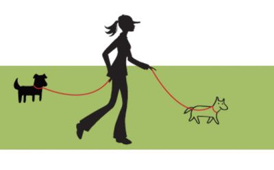 Soins � domicile pour votre animal