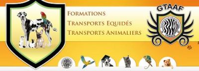Formations animali�res par correspondance et en salle