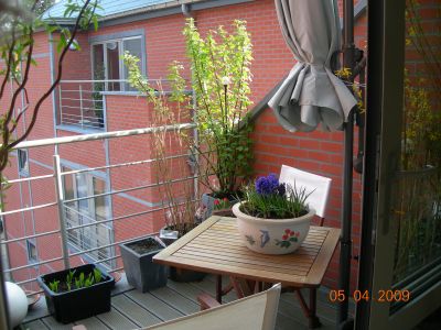 appart neuf et luxueux a vendre 345000�