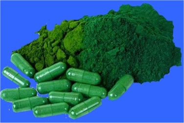 LES BIENFAITS DE L�ALGUE BLEU VERT A.F.A ou KLAMATH