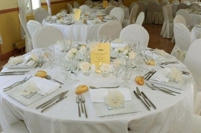 Organisation de mariages et pacs. Wedding Planner