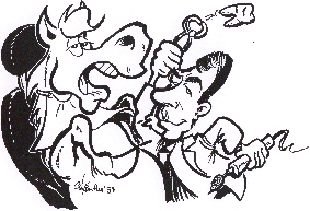 Dentiste �quin