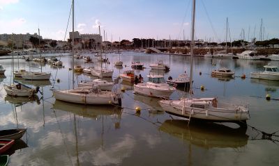 M394-bar brasserie limonadier a vendre littoral 85