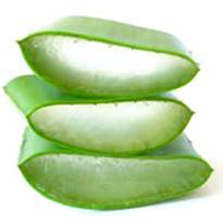 Les Bienfaits de l'Aloe vera