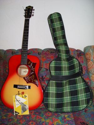 Guitare Folk +accessoires