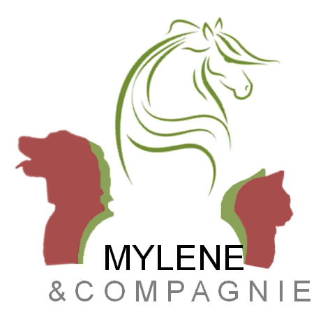Garde,promenade,taxi animalier, massage chiens,chats et chevaux