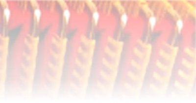 Musicien accord�oniste donne cours (pour tous)...