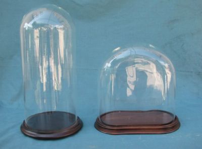 cloches de verre ronds et ovales