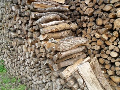 Vente promotionnelle des bois de chauffages