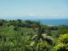 Vacances en Martinique pour les Individualistes