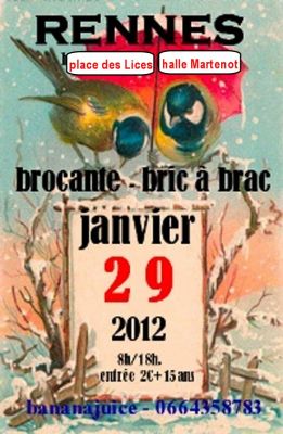 RENNES - 29 janv.12 - brocante - disques