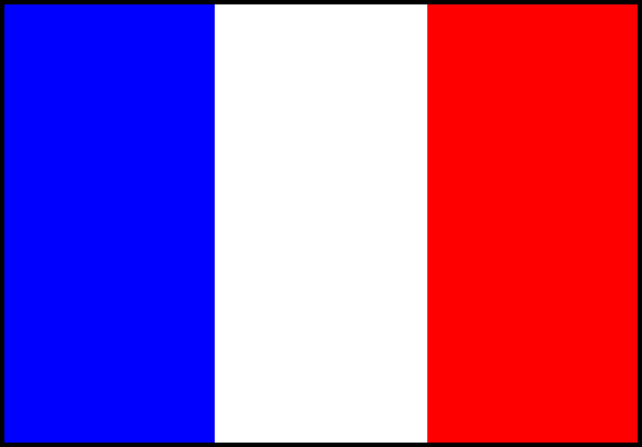 Besoin de cours de FRANCAIS? FLE? 