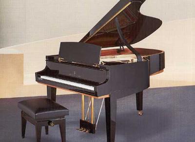 Cours de piano et solfge