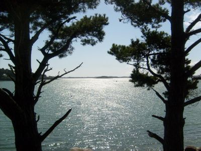 ELECTROTHERAPIE EN MORBIHAN