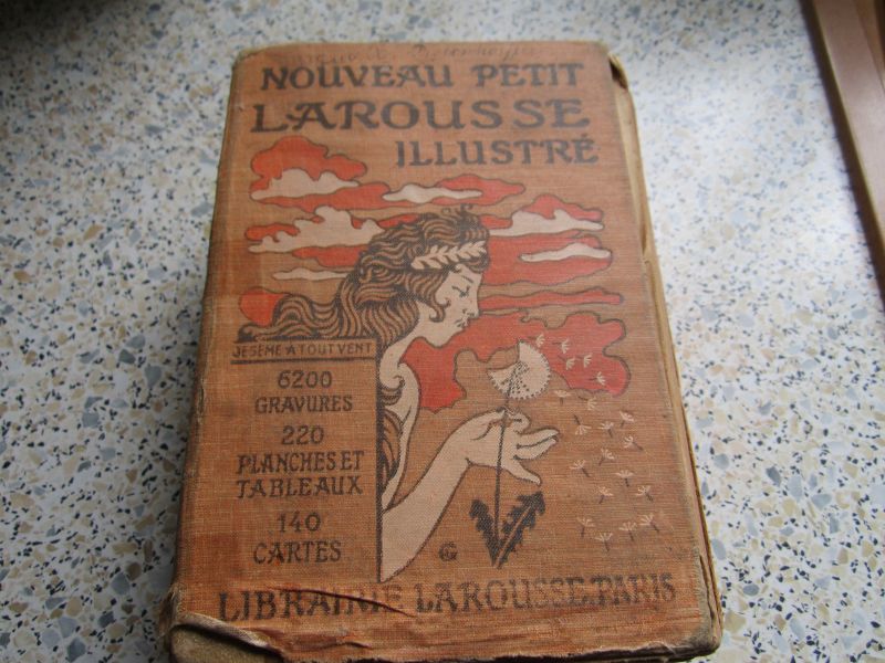 Dictionaire larousse