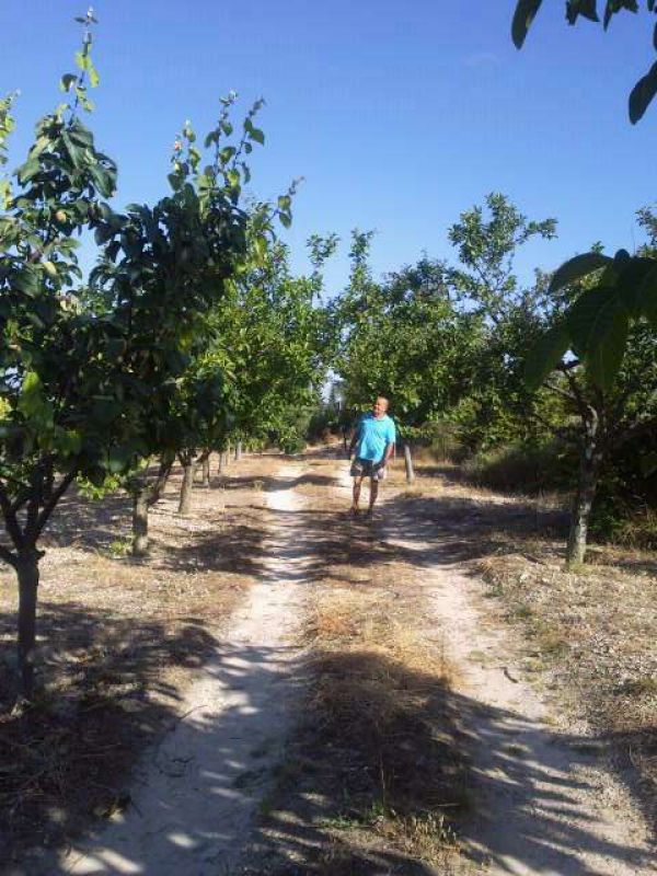 Terrain cultivable cultiver ses propres fruits et lgumes gale conomies,sant