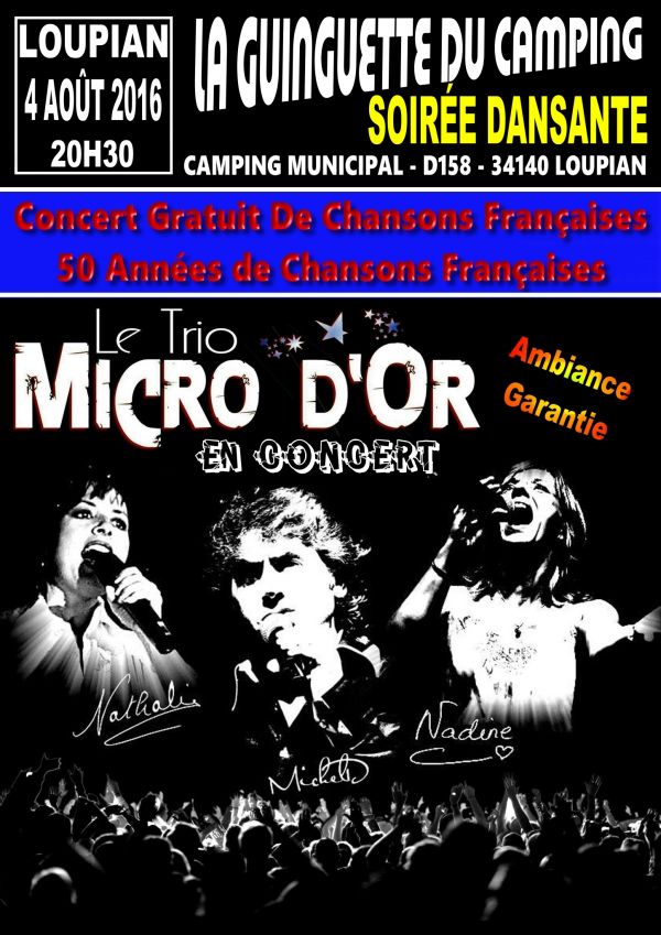 Concert dansant gratuit Trio Micro D'or aout 2016